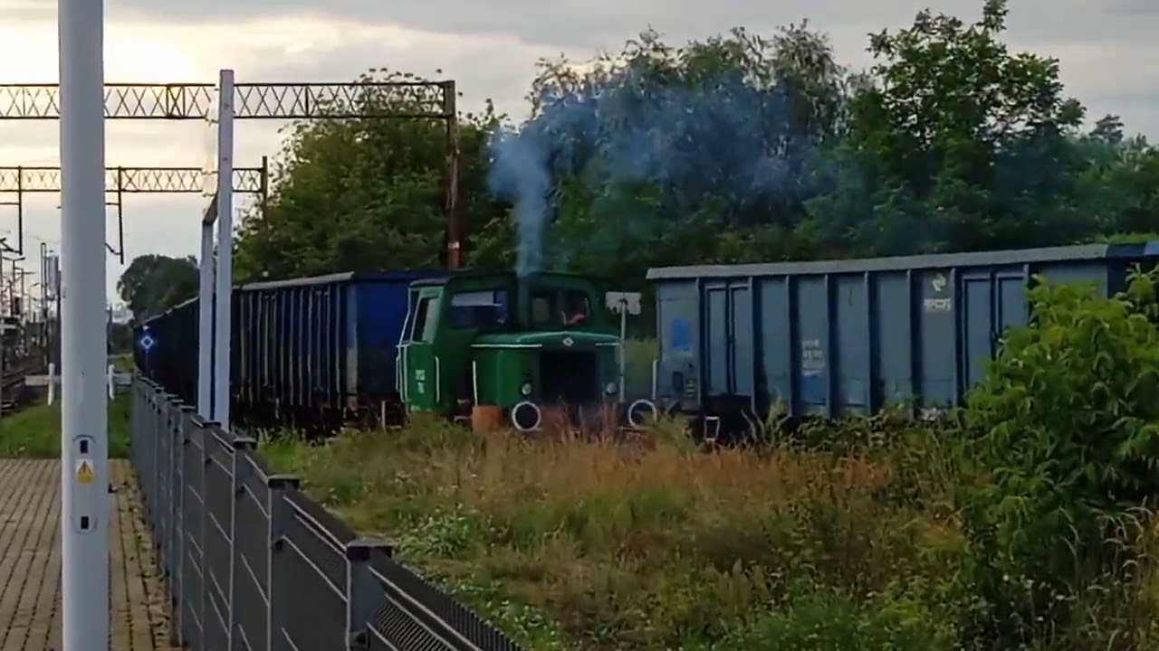 kaczka SM03-700 w wielkopolsce