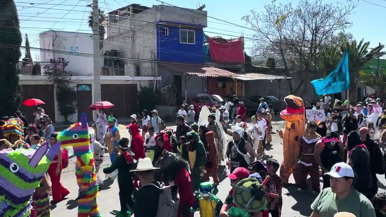 CARNAVAL TLALTENCO / COMPARSA CHUPAMAROS / DISFRACES 2026‼️