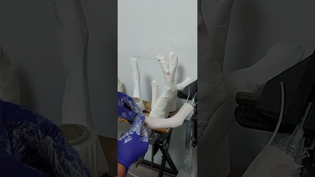Veteriner hekimlikte protez-ortez uygulamaları için negatif kalıp ( alçı ölçü) alımı