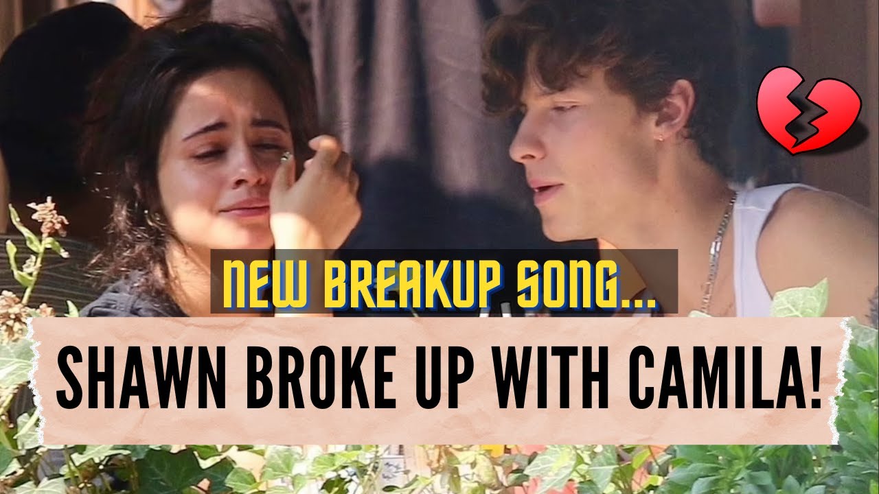 Shawn Mendes Broke Up With Camila Cabello and Then Released 