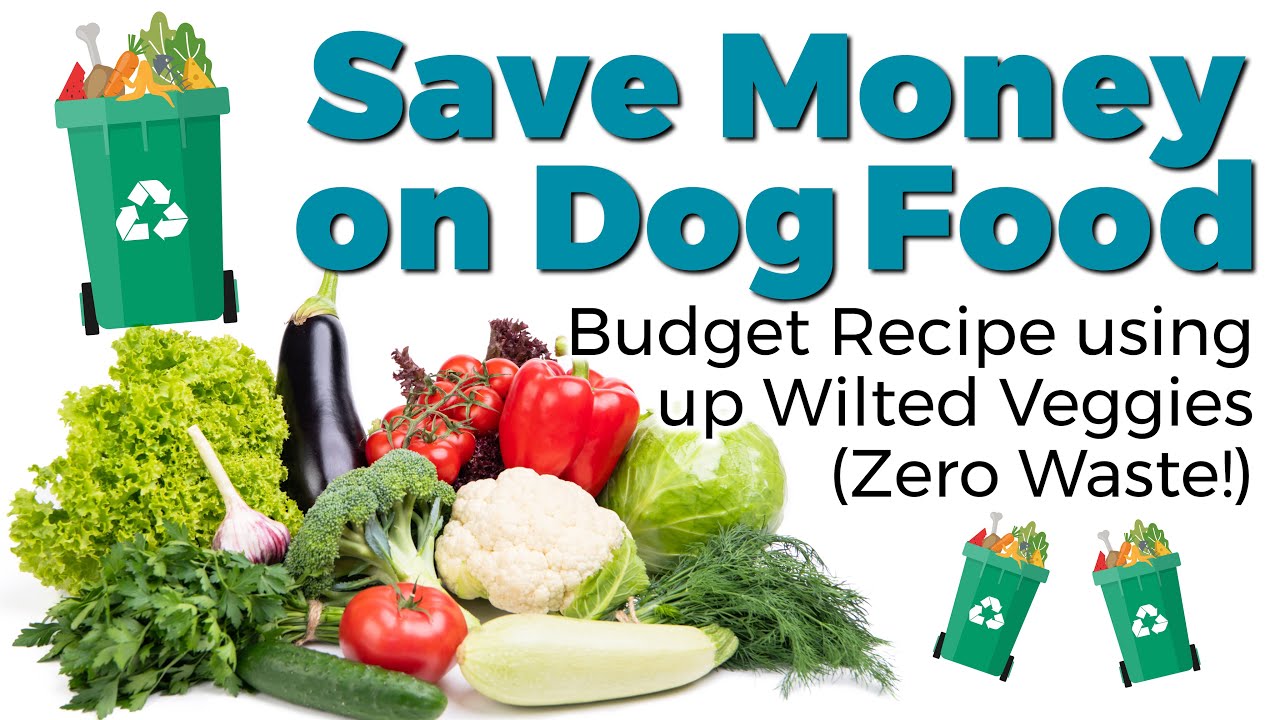 Save Money on Dog Food - Budget Recipe