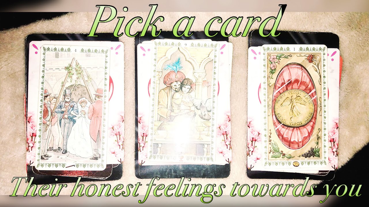 🤍💯🥰Their honest feelings towards you right now🥰Pick a card✨Timeless love reading