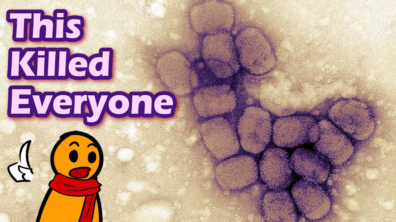 The Deadliest Disease in All Japanese History