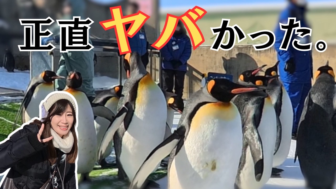 旭山動物園｜冬のペンギン散歩＆ホッキョクグマ達が可愛すぎた…🐧❄️｜北海道旭川観光Vlog