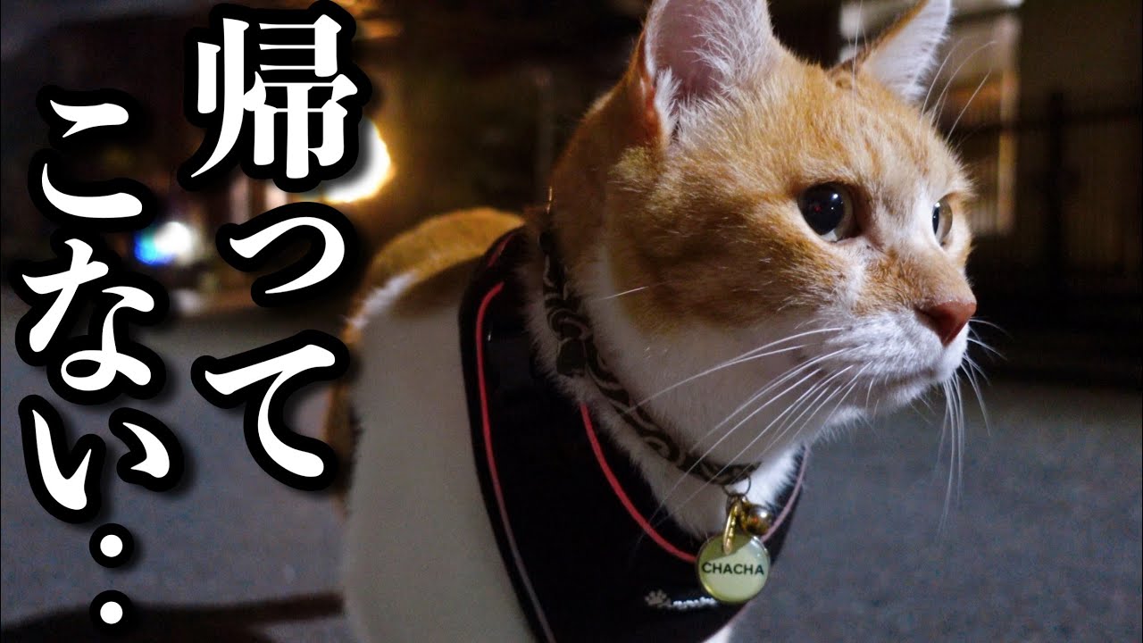 Ночь, когда его любимая сестра отправилась на фестиваль фейерверков и не вернулась