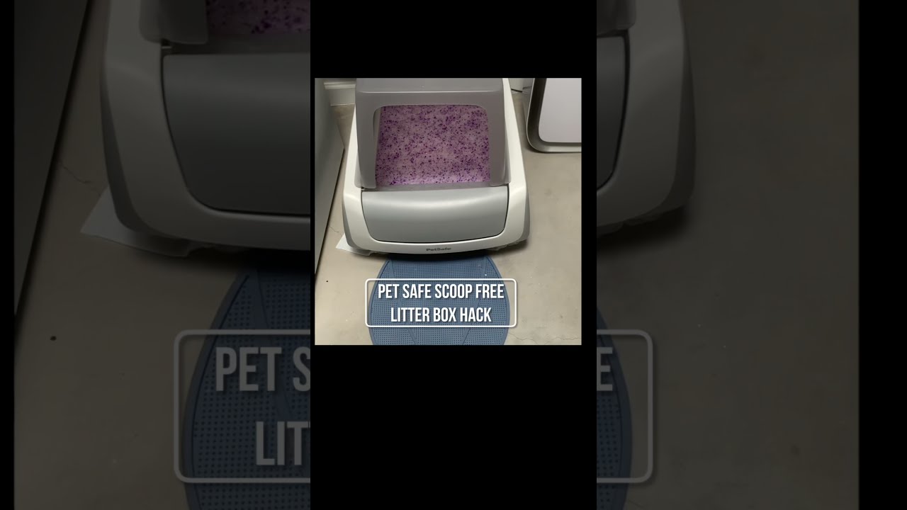 Save $$$ - EASIEST Pet Safe Self Cleaning Crystal Litter Box Hack & Modification - clean 1 x a month