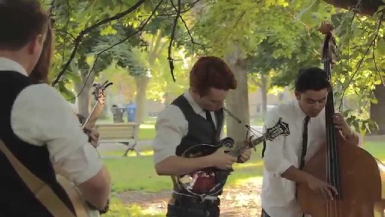 Birds of Bellwoods - Come Home | Live in Bellwoods 66