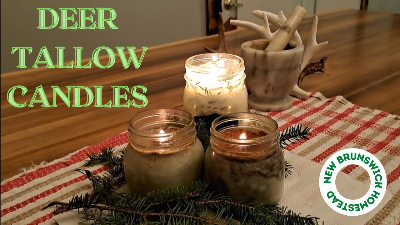 Making candles from deer tallow