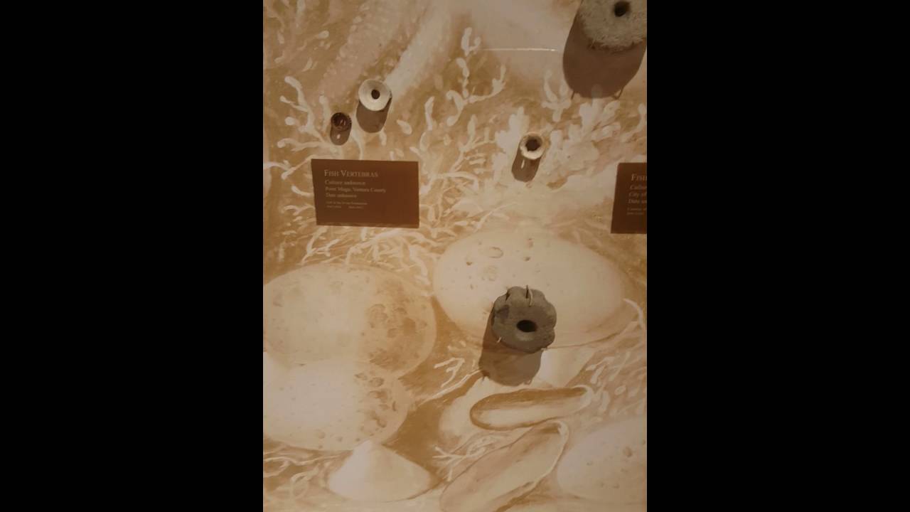 PAINTINGS ARE NOT MUMMIES!]][][[*MUMMY MUSEUM