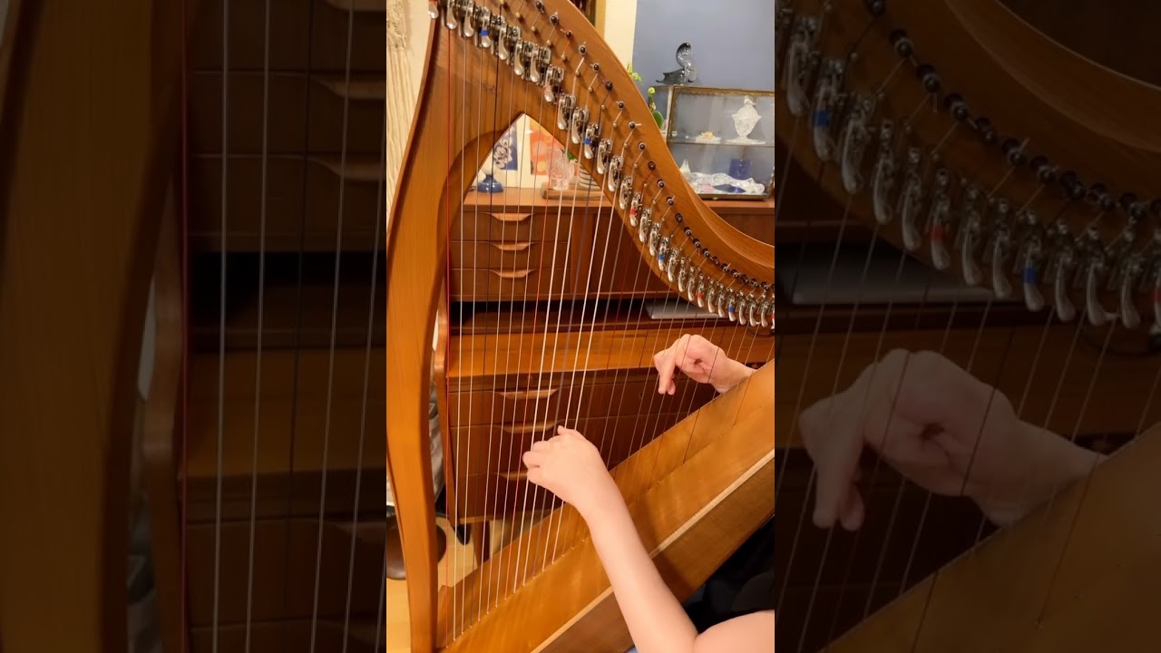 CAROLAN'S CONCERTO 1〜4小節練習用