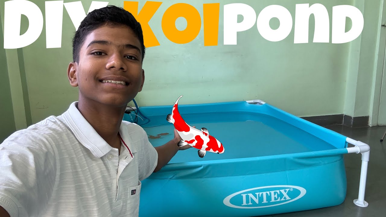 Diy Koi Fish Pond😍Diy Filtration System