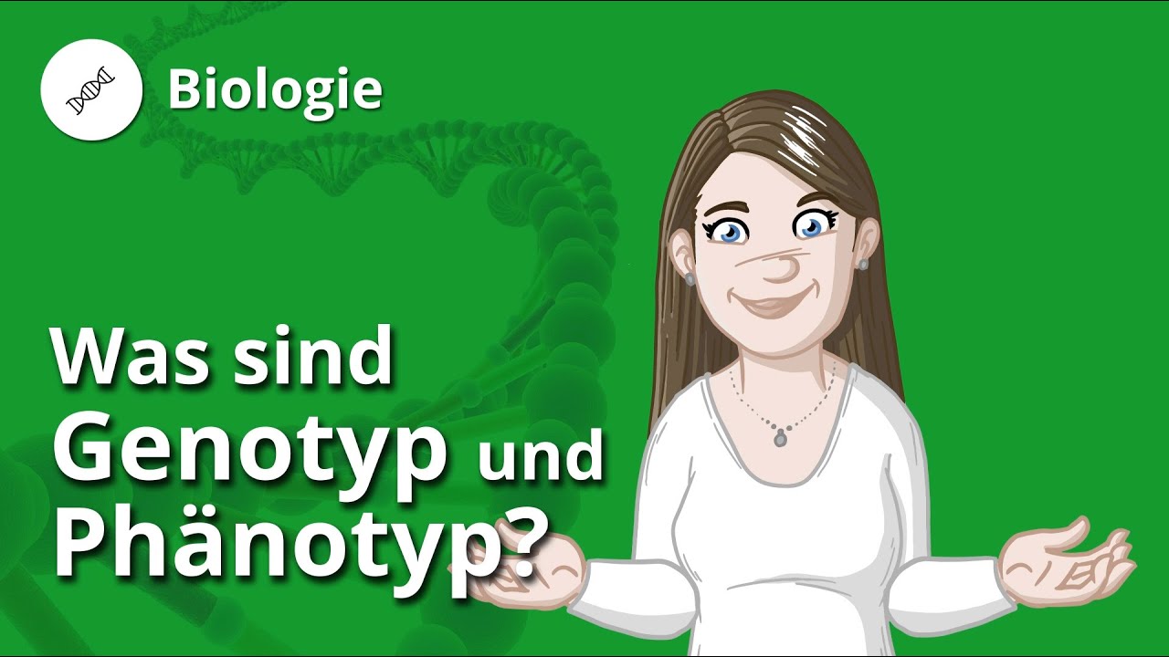 Genotyp und Phänotyp: Definition, Beispiele und Allele – Biologie | Duden Learnattack