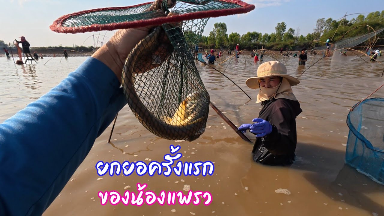ขอมาจัดให้ตามใจแม่บ้าน ยกยอบัตร100บาท ปลาธรรมชาติ วงการนี้เข้าแล้วออกยาก / ตุ้มแพรว พาเพลิน EP.919