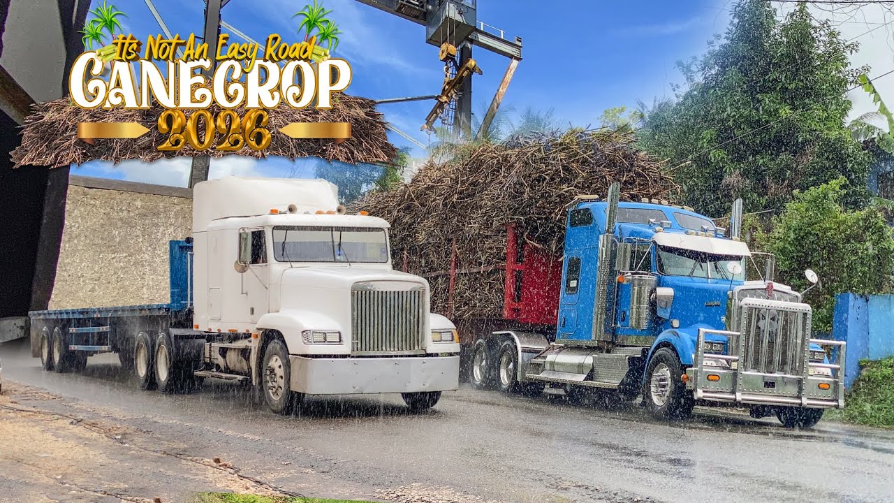 Jamaican Truckers | In Action | S05E02 | Bigrigs | Cash Money Crew | Loud Jakes | Cane Crop 2026