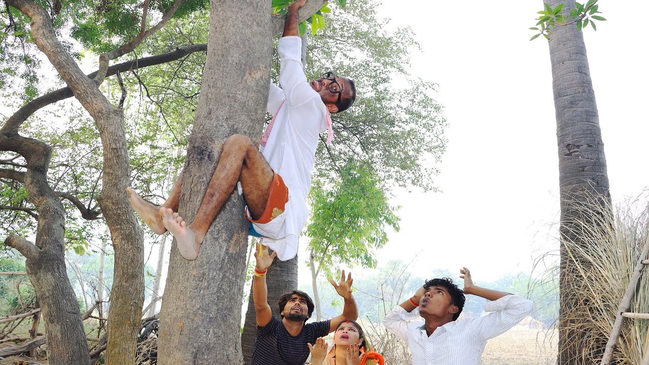 #चिरकुटवा आम के पेड़ पर टंगाकर~गाँव वाले को किया याद || गूंगवा घर मे खोज खोज कर हुआ हरान Chirkutbaba