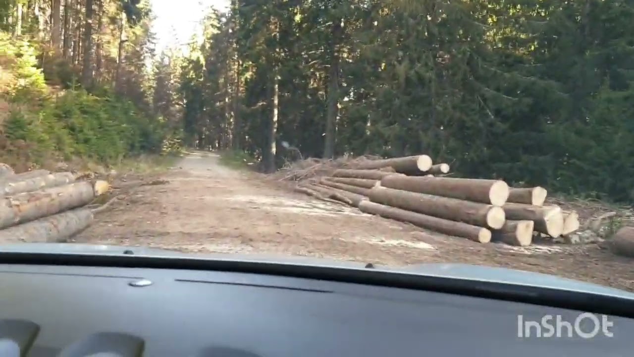 Golte - Smrekovec - Solčava