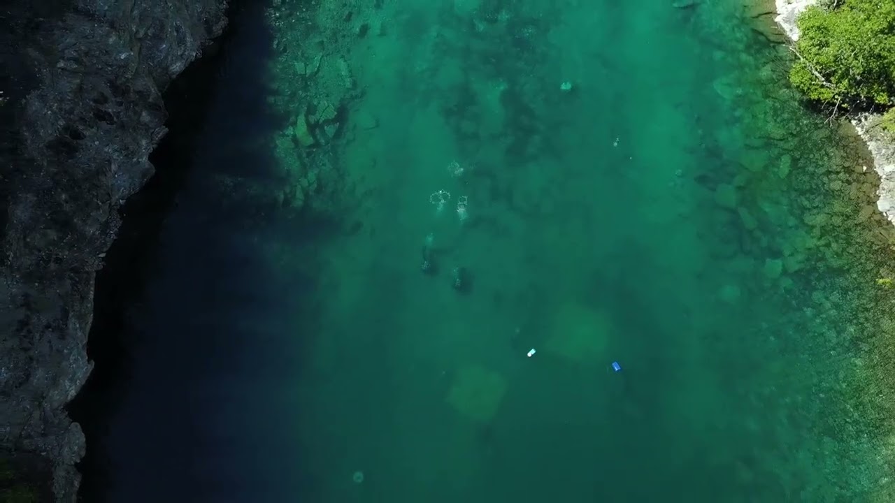 Hymne a la beauté du monde