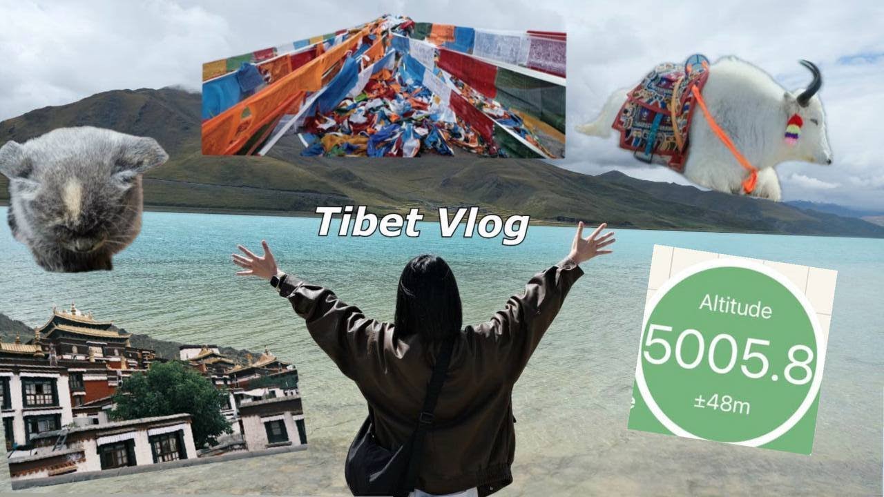 vlog🧘 22 hours sleeper train to Lhasa, Tibet | altitude sickness? | seeing tibetan plateau, temples