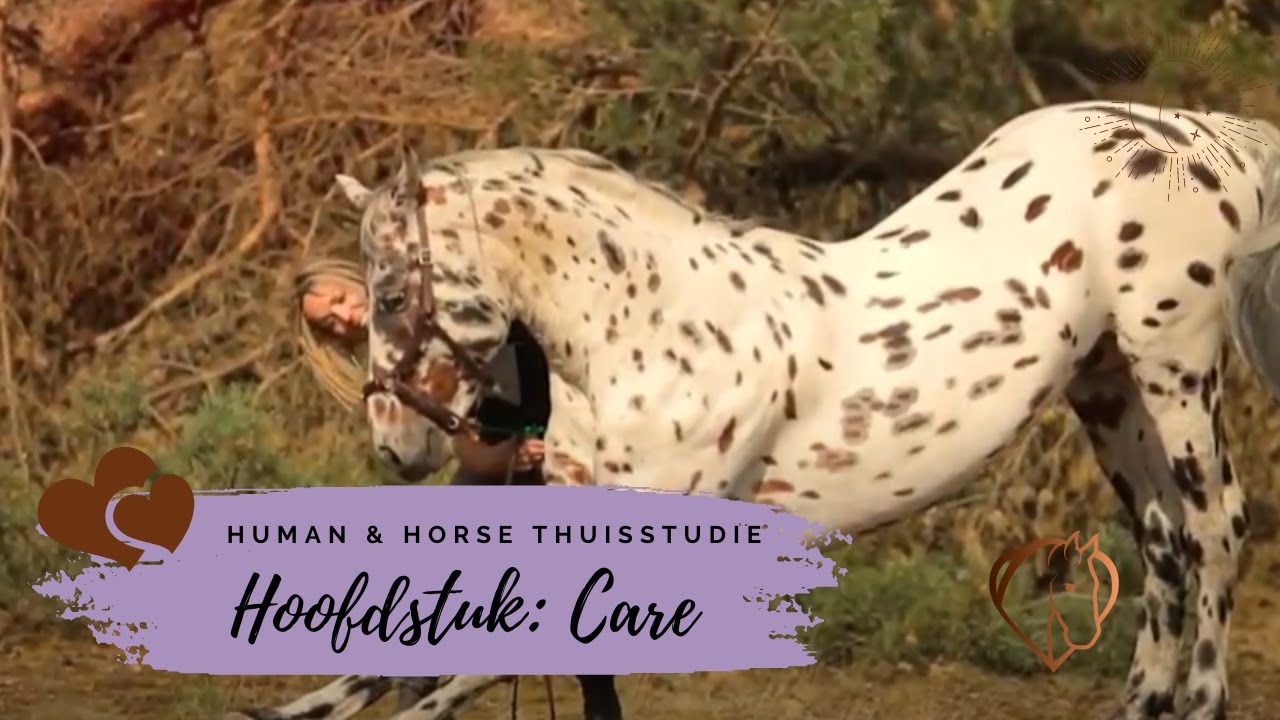 PREVIEW HUMAN & HORSE METHODE THUISSTUDIE; CARE