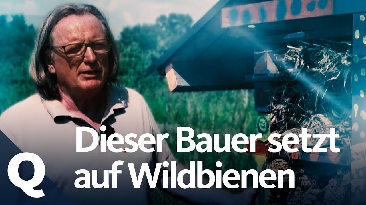 Wie Bauer und Wildbiene sich gegenseitig helfen | Quarks
