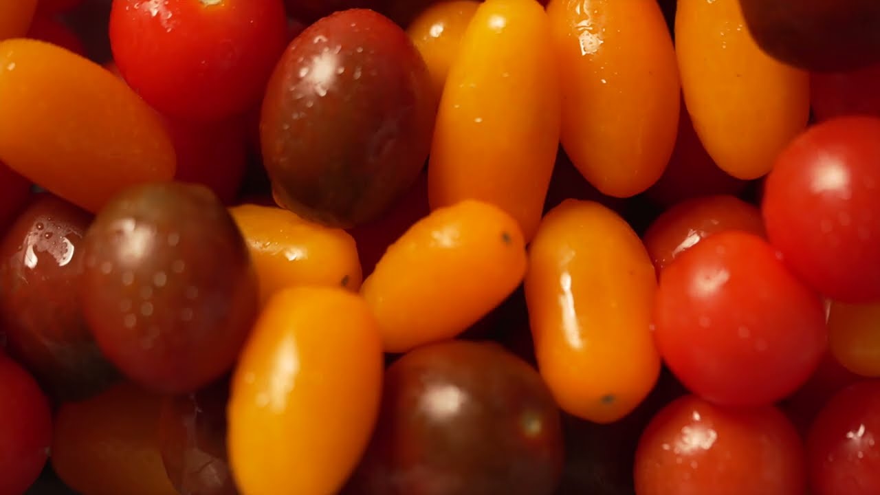 Enoteca Showreel
