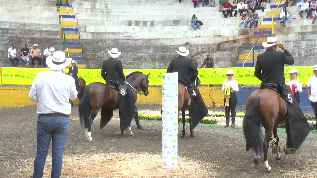 TRIPLE ELEGIDO DE LA ILUSION, GRAN CAMPE&Oacute;N RESERVADO TROCHA Y GALOPE PENSILVANIA GRADO B 2026