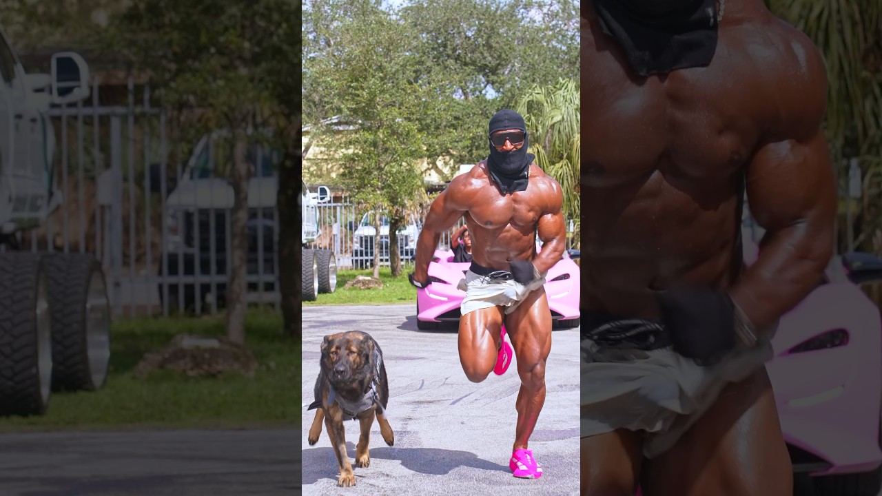 🥷🏿 🐺