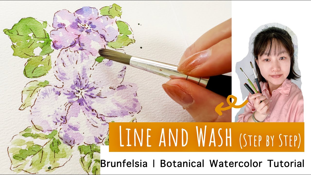 Line and Wash Brunfelsia | Botanical Watercolor Tutorial | Pen & Wash
