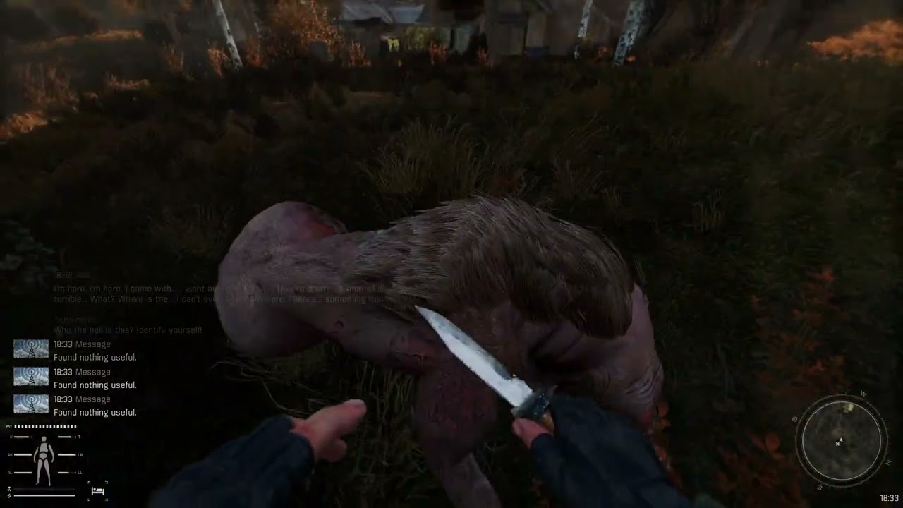 Escape from Tarkov SP - JK it's Stalker GAMMA.