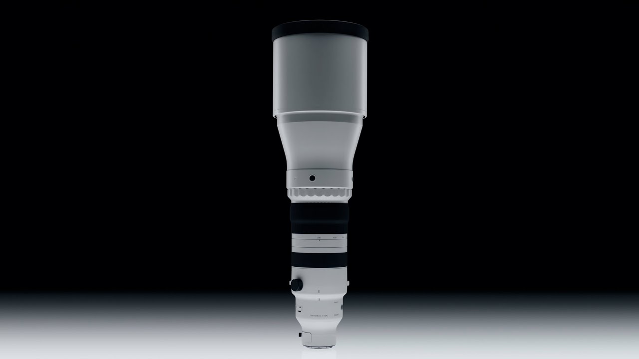 Features 300-600mm F4 DG OS | Sports