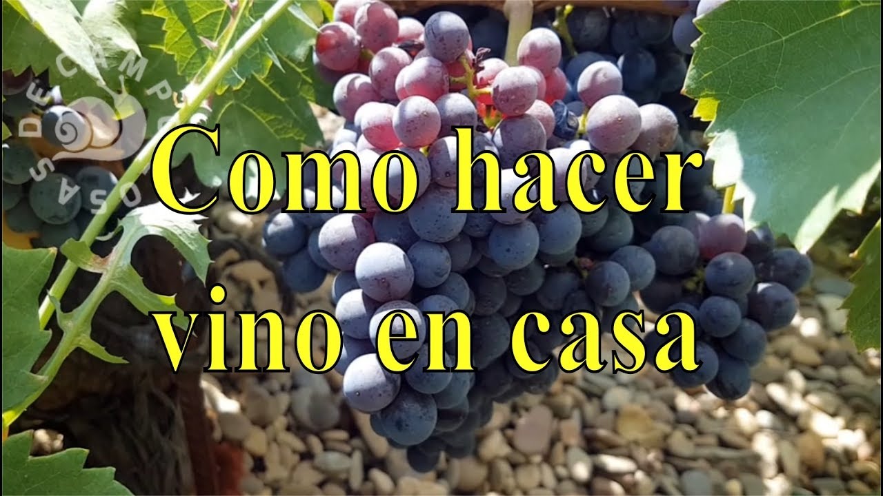 Como hacer vino tinto casero.