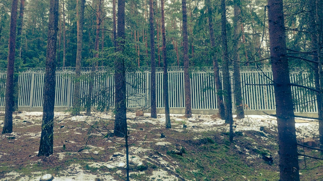 VERDANT BORDERS AND STEEL WALLS: Eco-ontologies of Border Politics