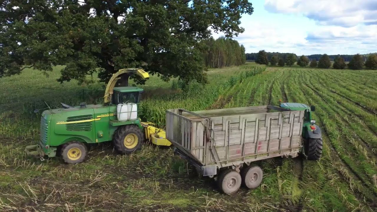 Maize Silage Harvest 2025🌾 Latvia
