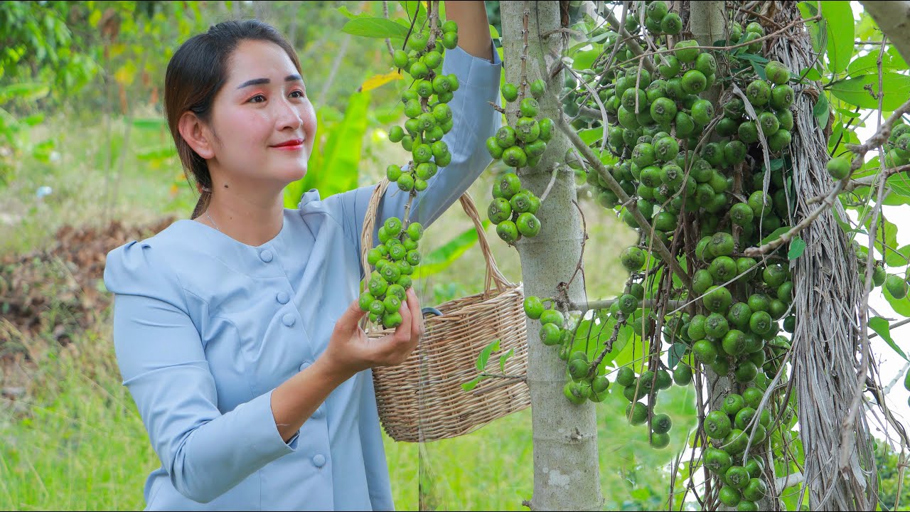 Wild fig fruit cooking | How to eat wild fig fruit | Sros yummy cooking vlogs