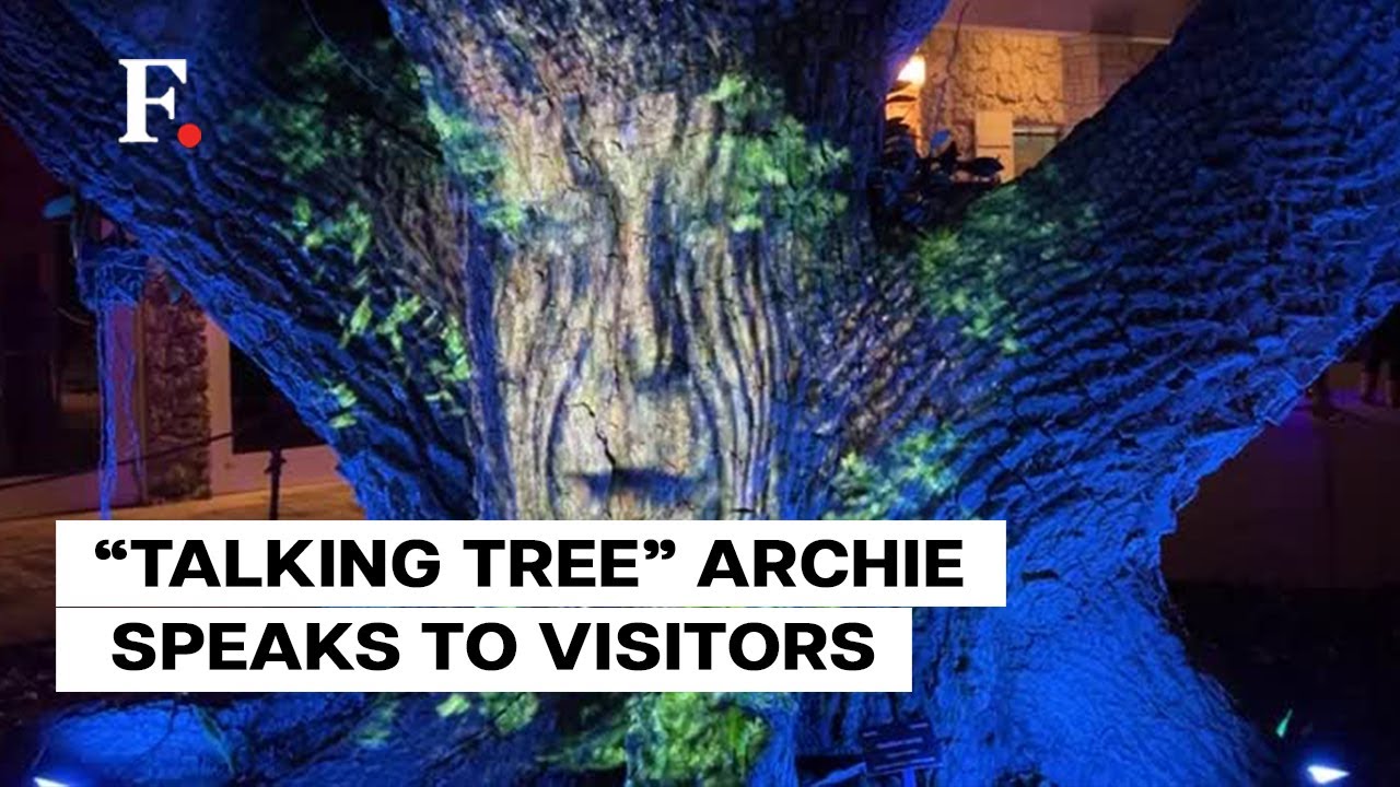Watch: 137-Year-Old Tree Engages Visitors in NightGarden Light Show in US