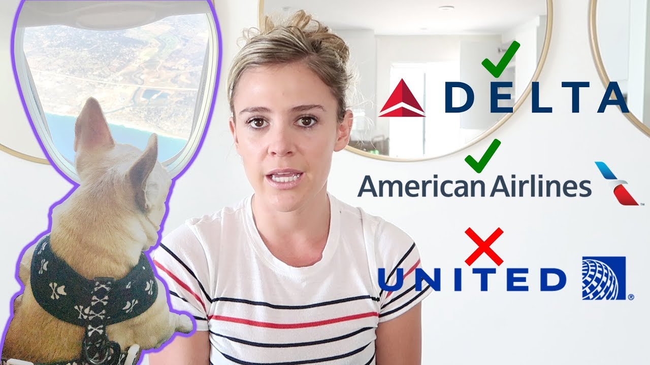 Must know before flying with your dog