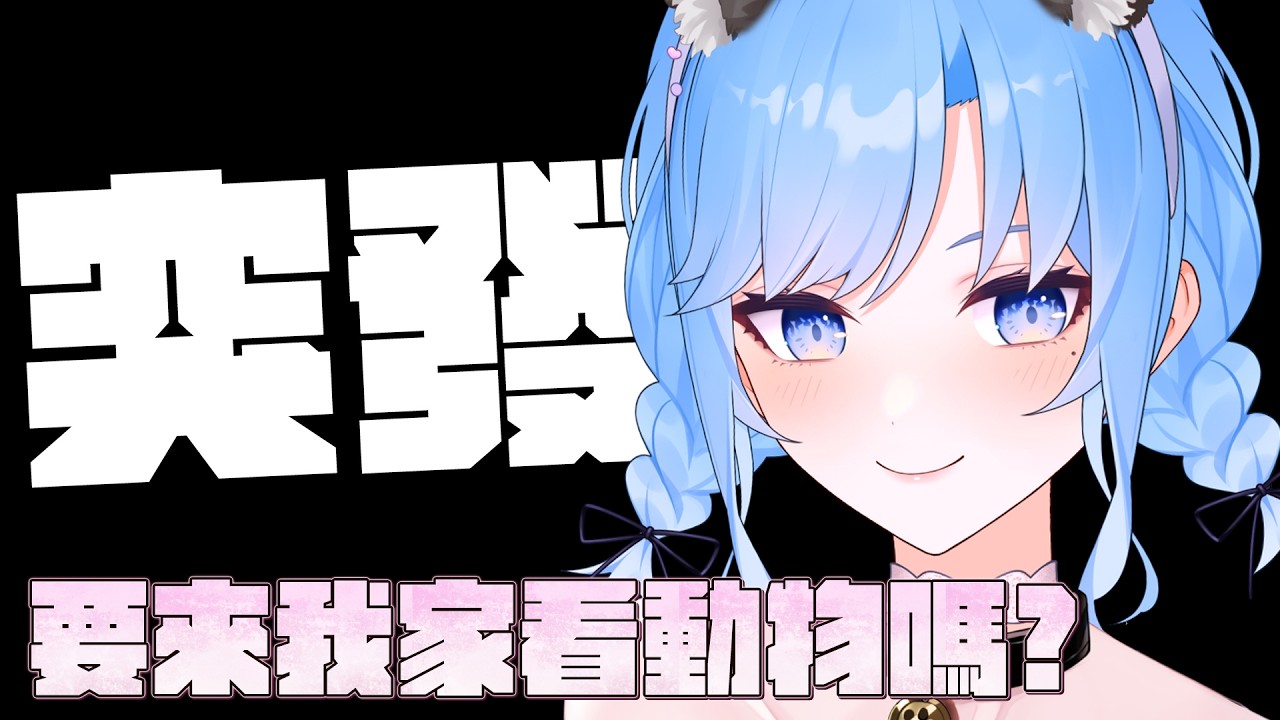 【深夜陪伴✨】深夜聊聊天玩玩遊戲挽回一下形象？【夏伊拉Shyla】