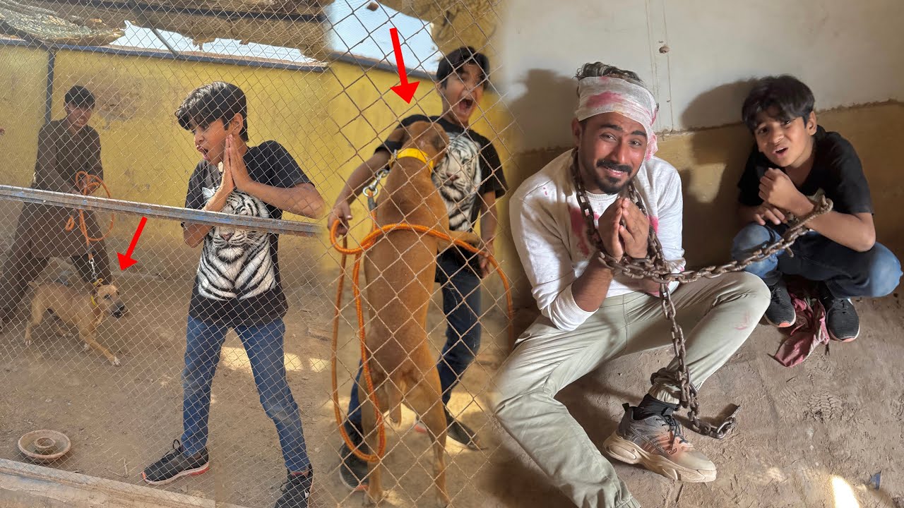 Tali Ko Talha Bhi Na Pitbull Dog 🐕 Ka Cage Ma Band Kar Dia Or Qaid Kar Dia Ta 😱