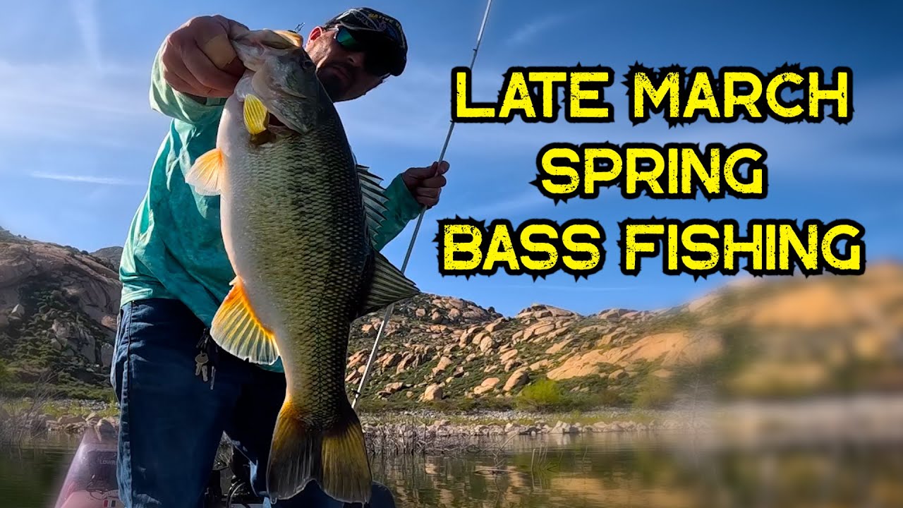 Late March 2024 Spring Bass Fishing | Lake Perris #Fishing #bass #march