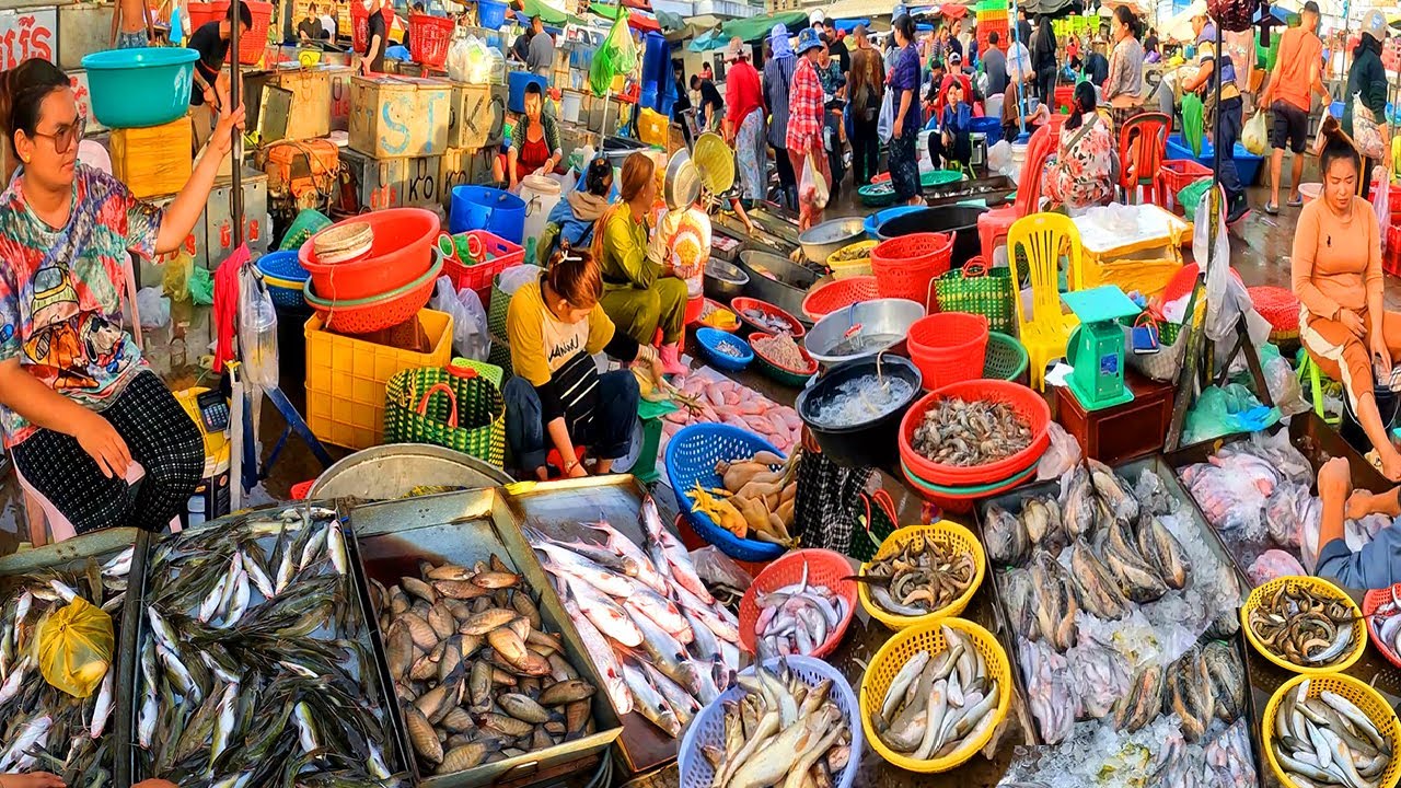Cambodian Wet Market Activities. Wet Market has lot of live Fish, Both Small and Large.