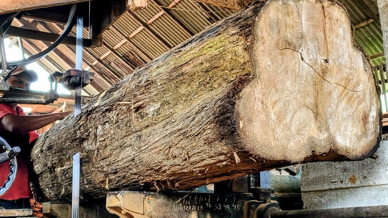 Cutting old teak wood that is almost perfecta at the Sawmill