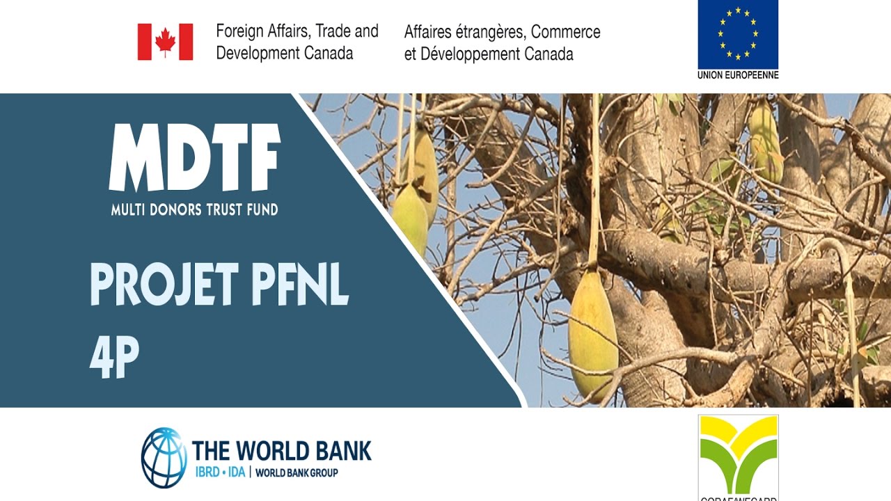 PFNL / FRANCAIS