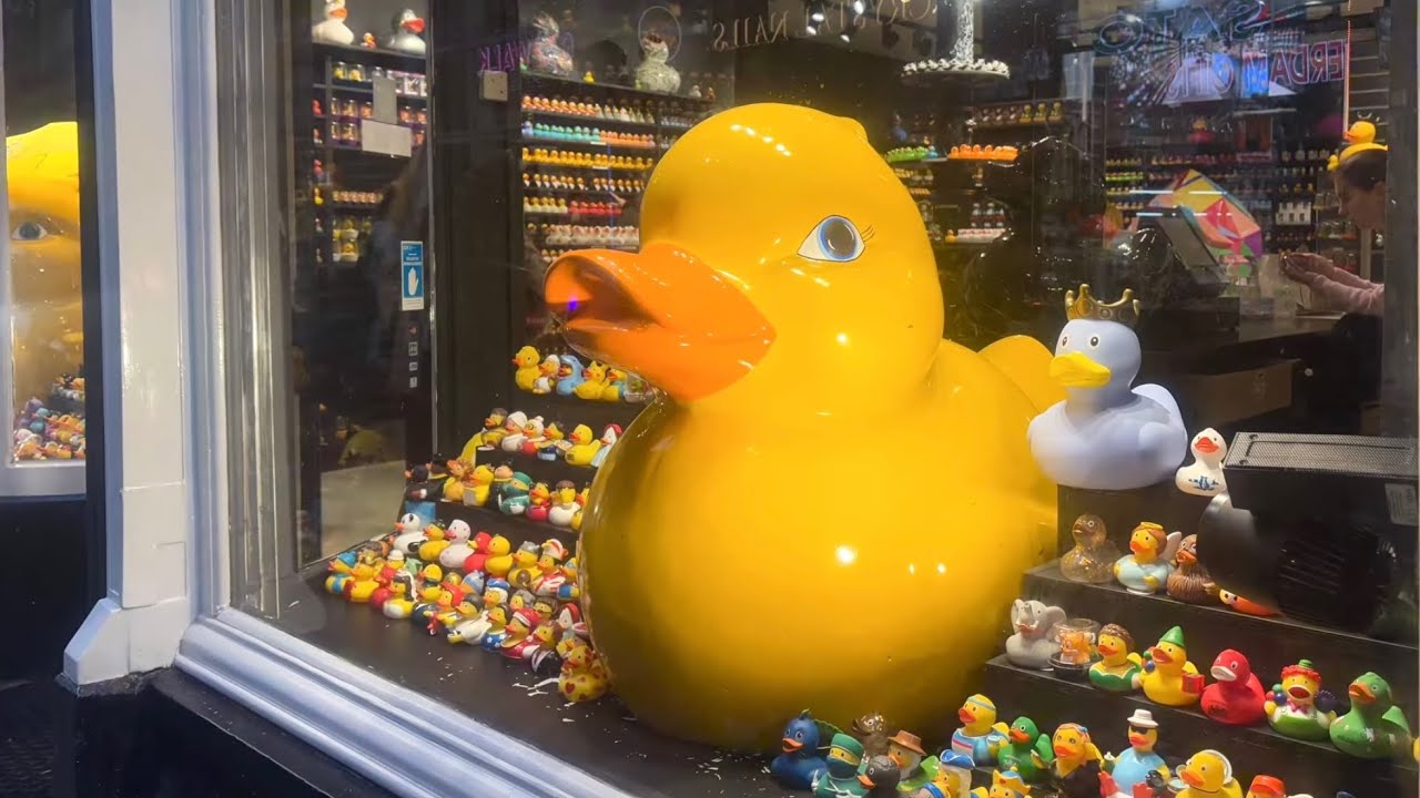 24-hour GVB ticket for transportation in Amsterdam €9.50