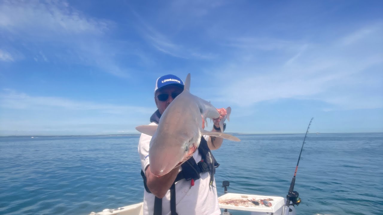 REEF FISHING FOR TOPE (in the end).UK BOAT FISHING #shark #fishing #boat