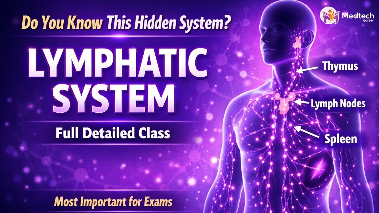 Lymphatic System Explained | Full Detailed Class for Medical Coding, Anatomy & Exam Preparation