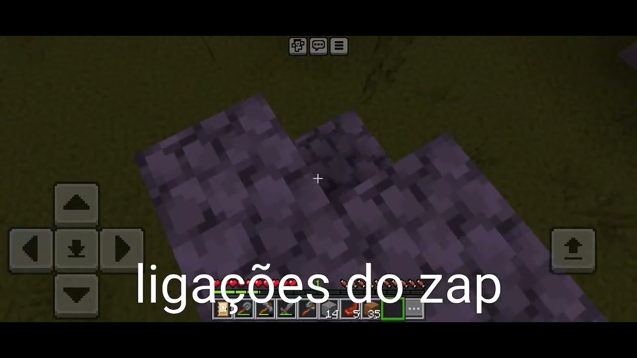 Meu primeiro projeto! Survival solo 02