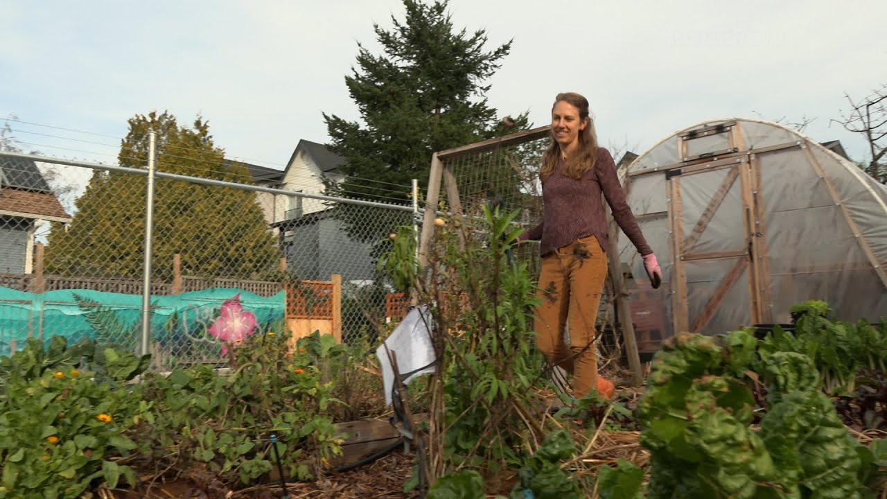 The Compost Education Centre.