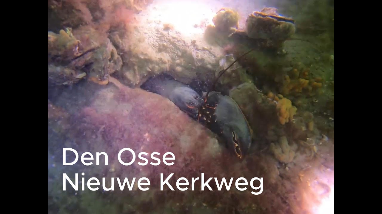 Den Osse Nieuwe Kerkweg