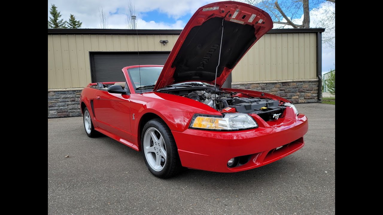 1999 Ford Mustang SVT Cobra Convertible - Only 8,000KMS Since New!