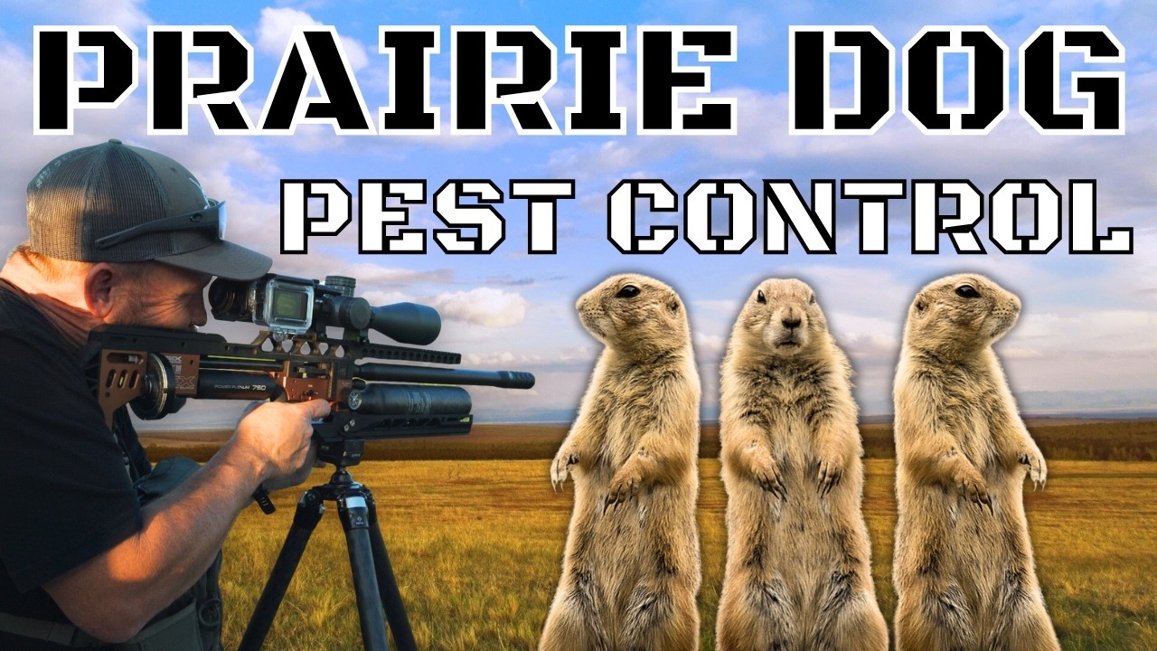 Hunting THOUSANDS of Prairie Dogs! | Prairie Dog Palooza 2024 | Utah Airguns